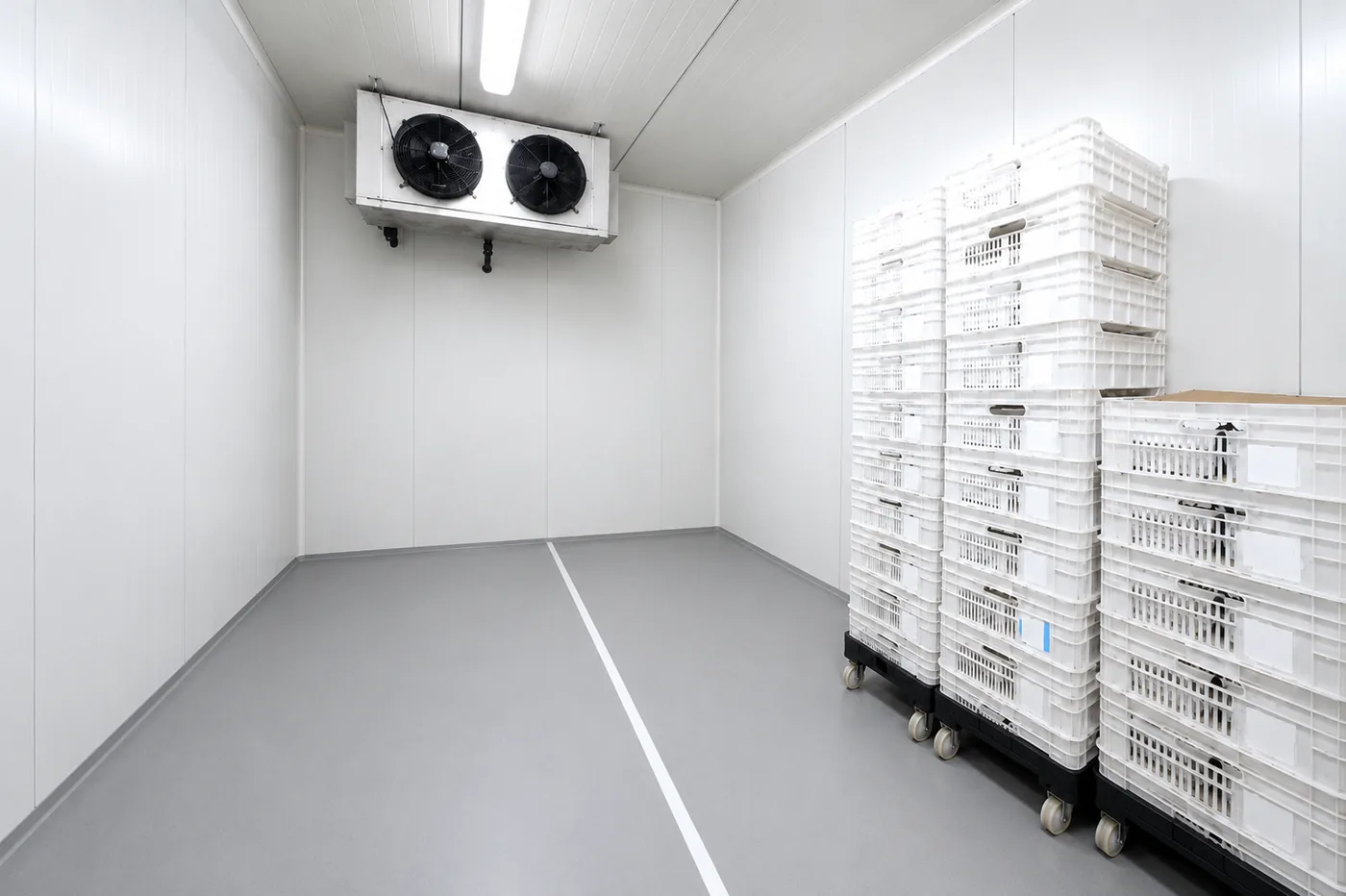 A 2-8 °C cold room with a ceiling-mounted evaporator and stacked crates on mobile pallets.
