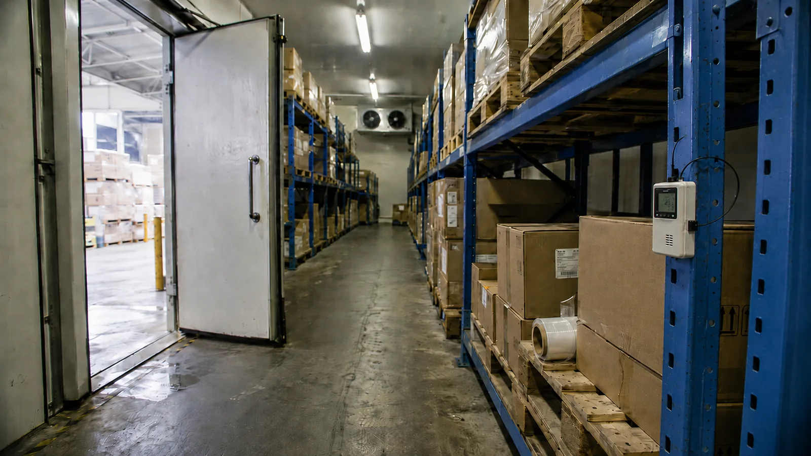 Pharmaceutical cold room with the door open, pallets and a temperature data logger mounted on the rack, the core of GDP storage.